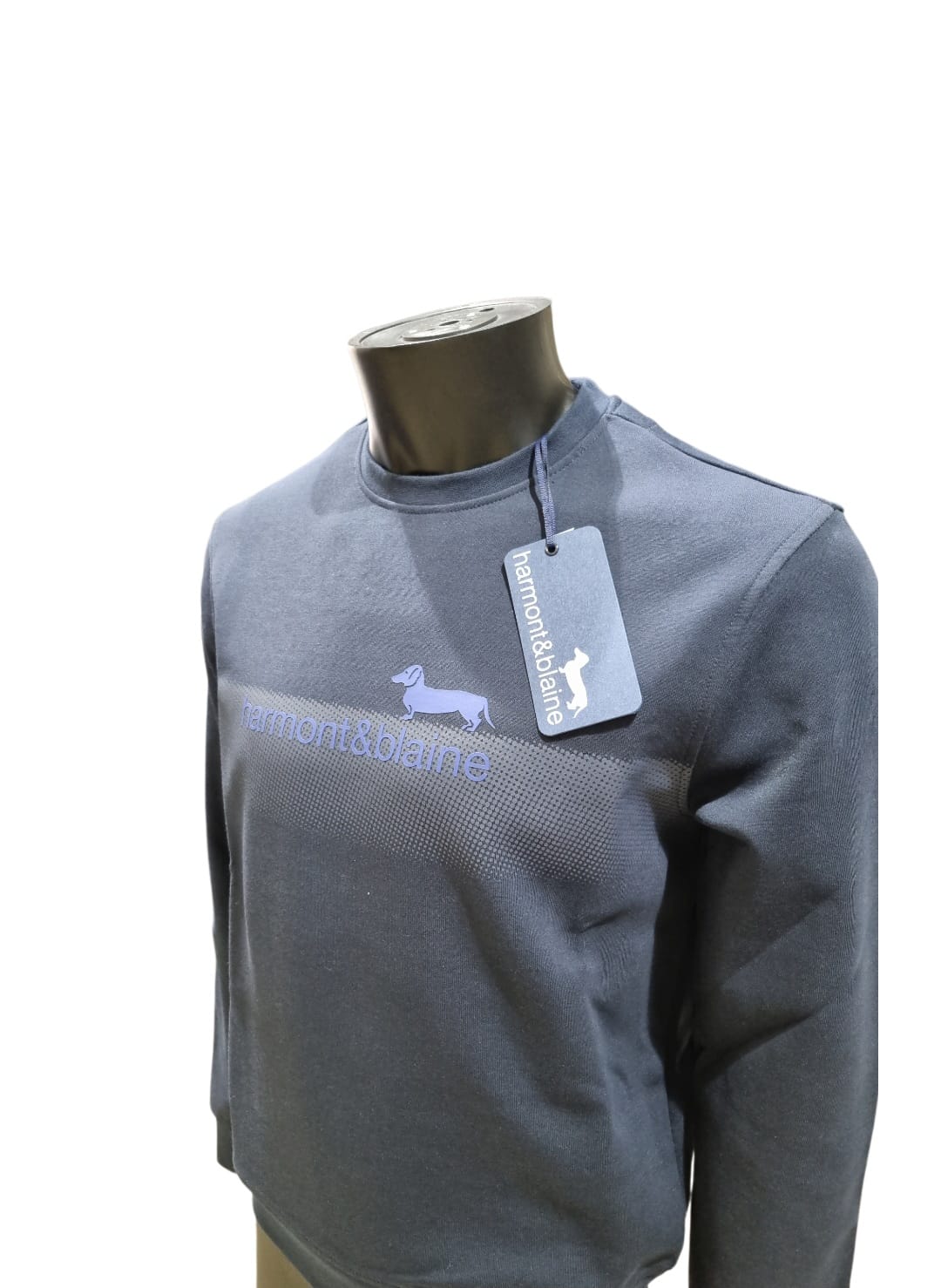 Felpa HARMONT & BLAINE